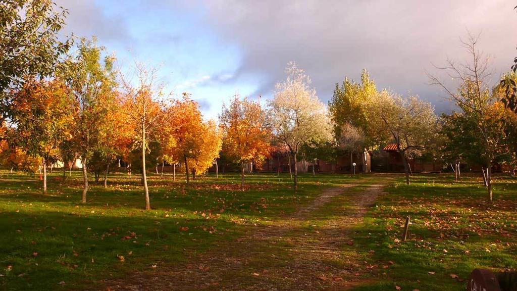Camping Ain Jaca Exterior foto
